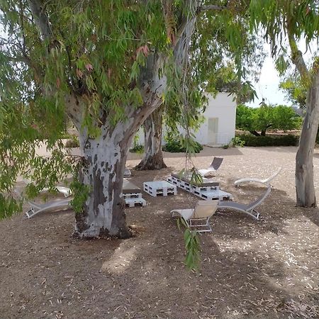 פורטו צ'זראו Terreamare Agriturismo מראה חיצוני תמונה