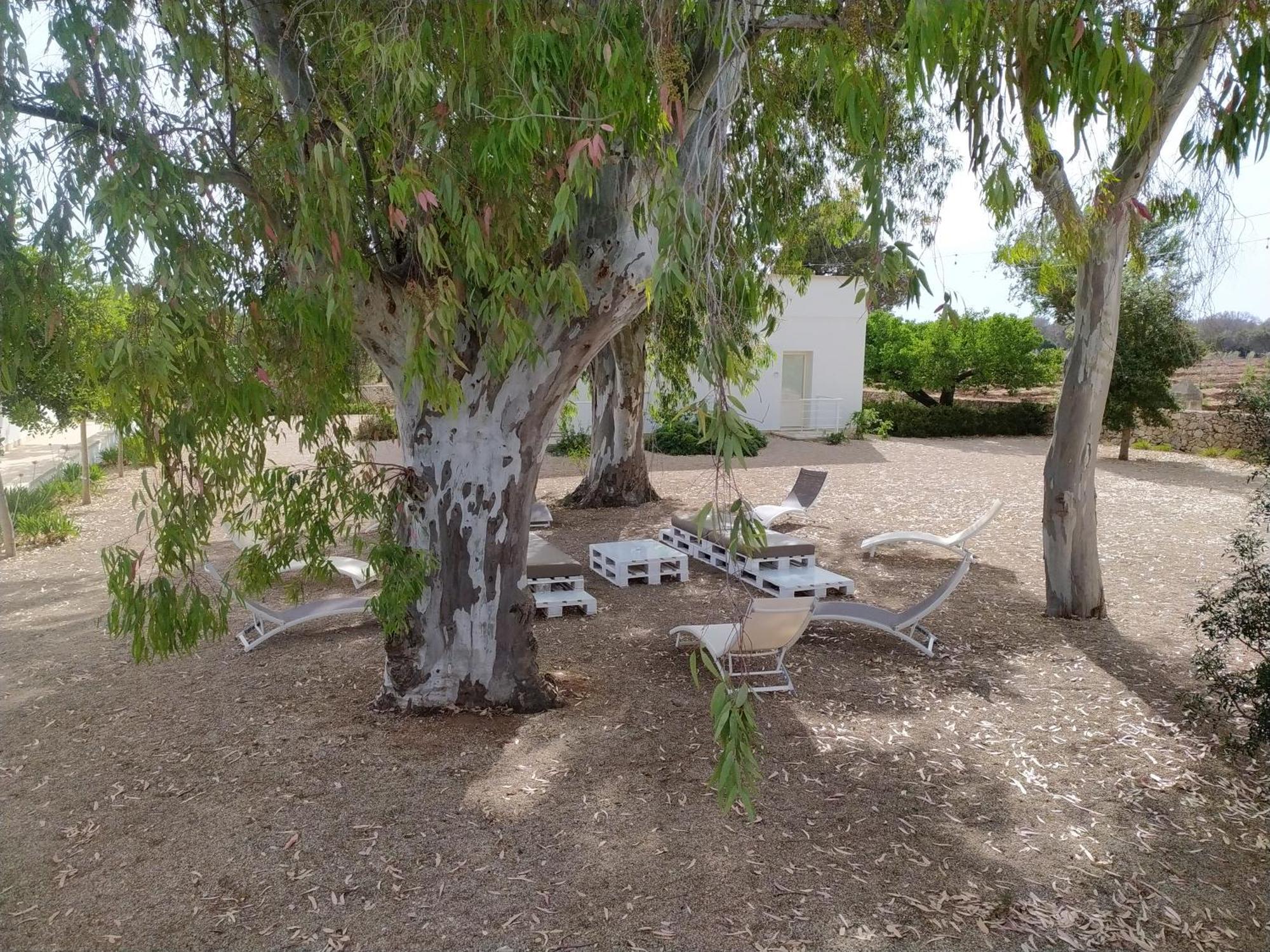 פורטו צ'זראו Terreamare Agriturismo מראה חיצוני תמונה