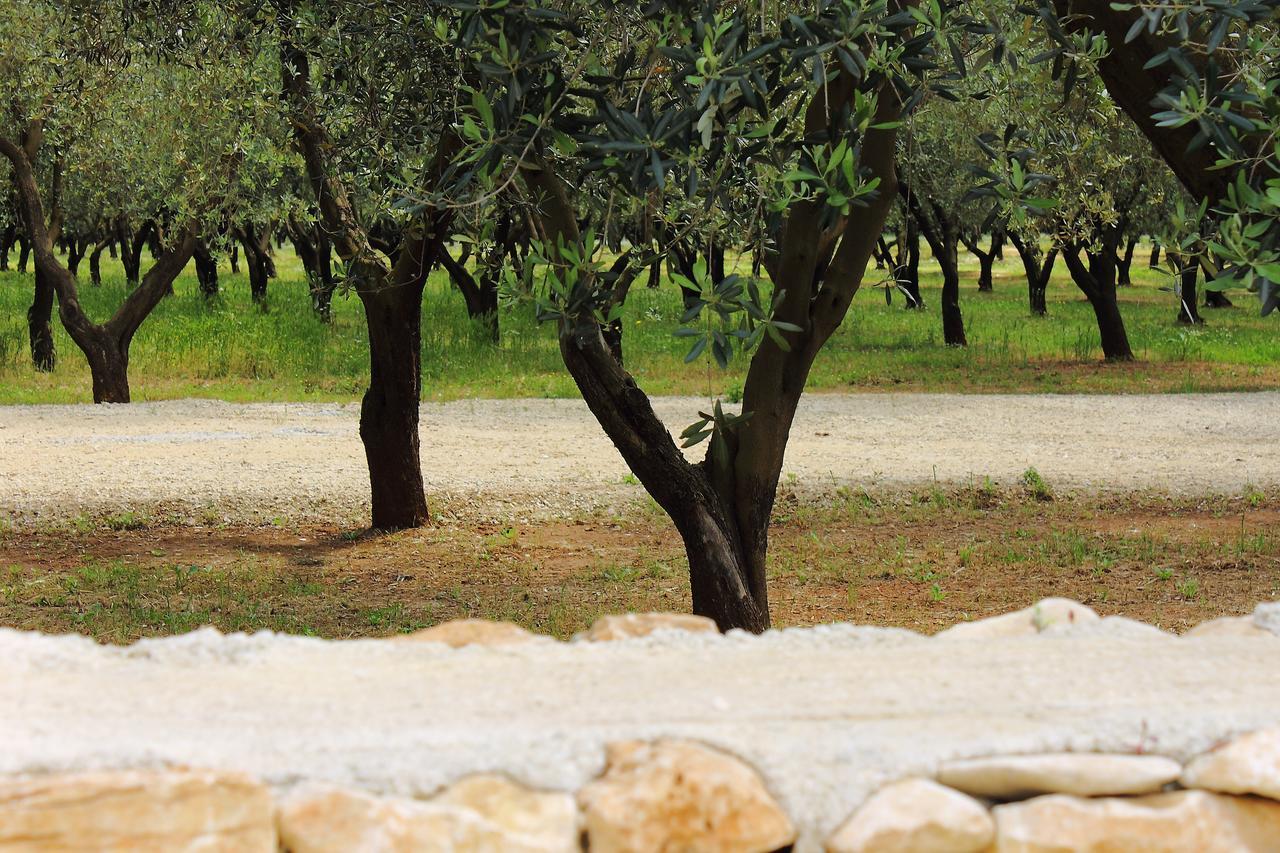 פורטו צ'זראו Terreamare Agriturismo מראה חיצוני תמונה