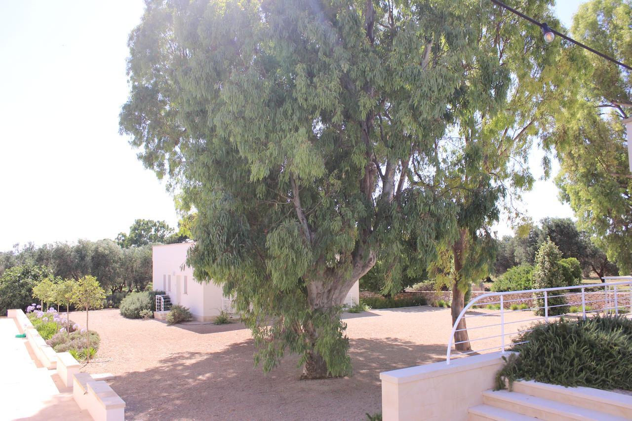 פורטו צ'זראו Terreamare Agriturismo מראה חיצוני תמונה